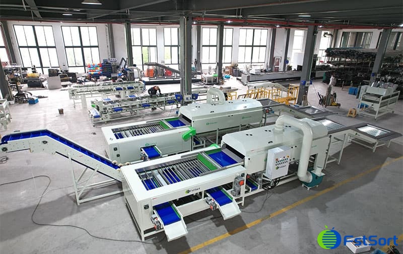 images/1682494228422clasificadora de patatas.jpg